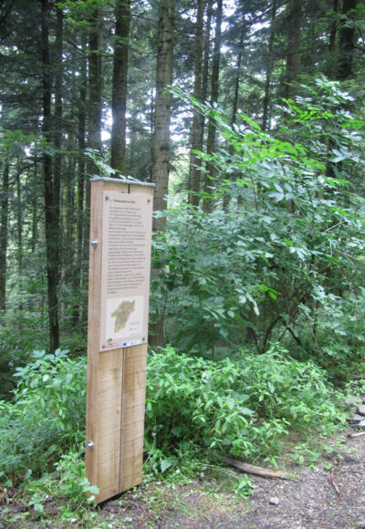 Station am Themenweg Rotenberg-Wald