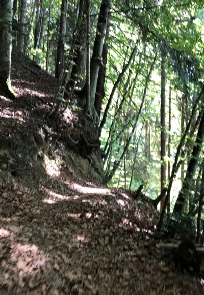 An der Gabelung zur Brücke runter
