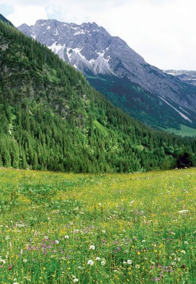 Blick ins Gemsteltal