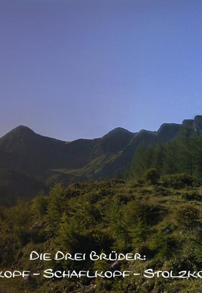 Panorama Drei Brüder von der Erlhofalm
