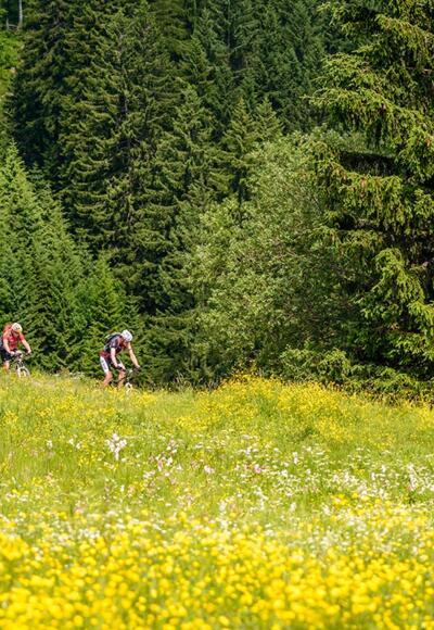 Abfahrt von der Ebenforstalm © ÖBF Nationalparkbetrieb Kalkalpen - Simlinger