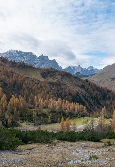 Blick vom Aufstieg in Richtung westliches Lamsenjoch zurück in Richtung Binsalm. Links der Karwendelhauptkamm