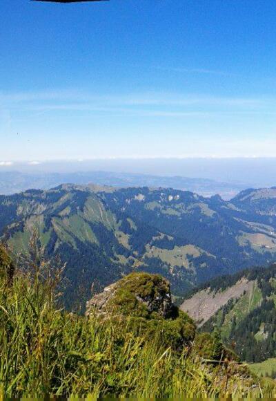 Aussicht Hoher Freschen (21. August 2013)