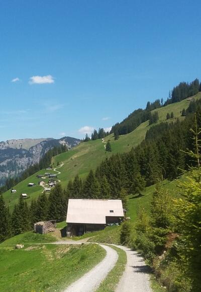 Laternser Argenalpe