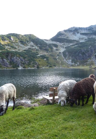 Empfang beim Wildseeloderhaus.