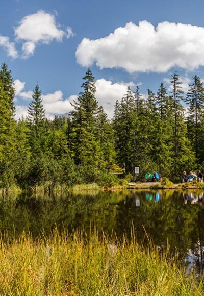 Kraftplatz "Schwarze Lacke