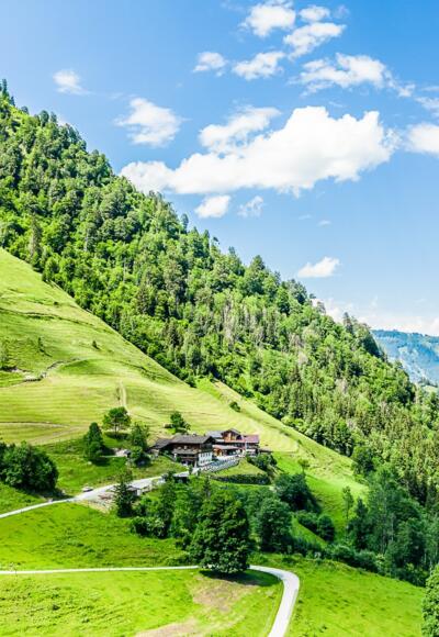 Almwirtschaft Schneckenreith