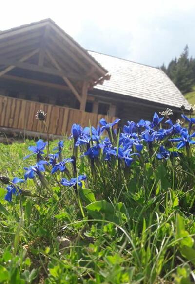 Arzbergalm mit Schusternagerl