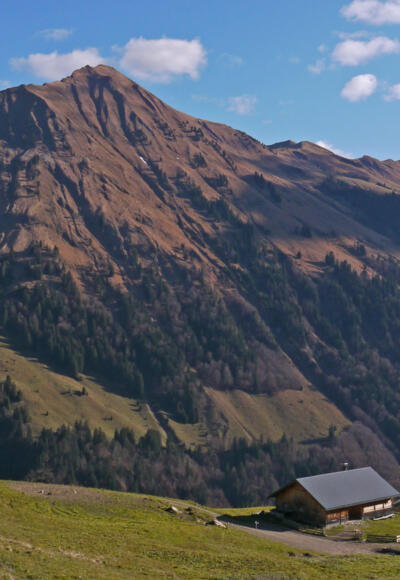 Blick zur Üntschenspitze vom Vorsäß Schalzbach