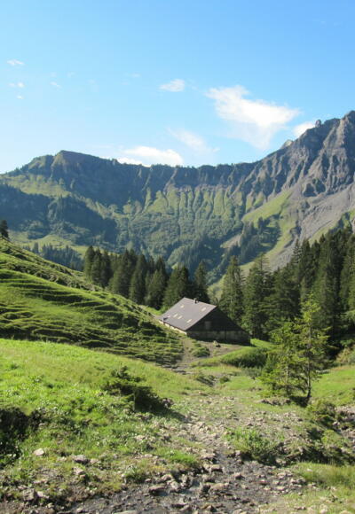 Weg zur Schönenwaldalpe im einsamen Mellental