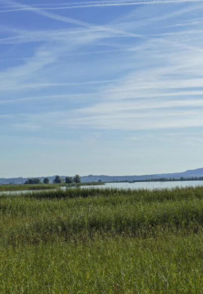 Vorarlberger Bodenseeufer