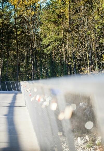 Radbrücke Bregenz-Hard