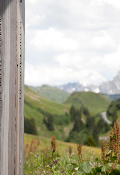 Auf den Spuren der Walser