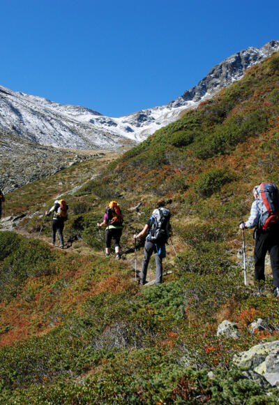 Im Anstieg zum Breitlehnjöchl