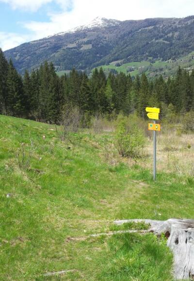 Wegbeschilderung folgen