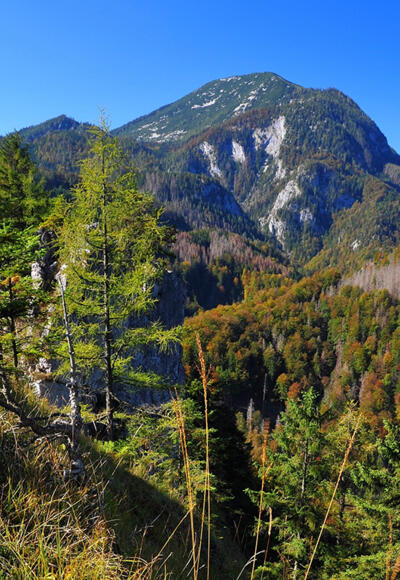 Großer Größtenberg im Nationalpark Kalkalpen © Sieghartsleitner