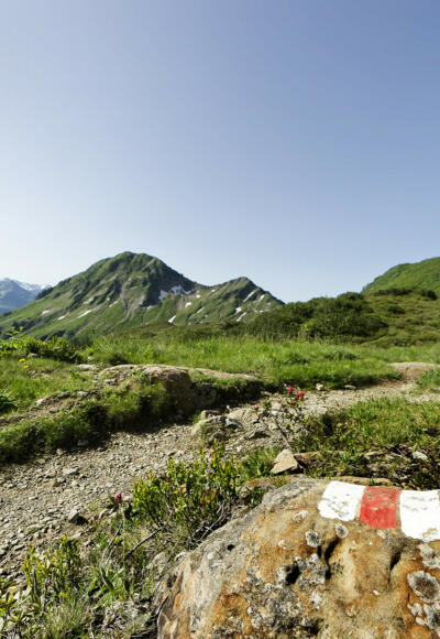 Wanderweg Furkajoch