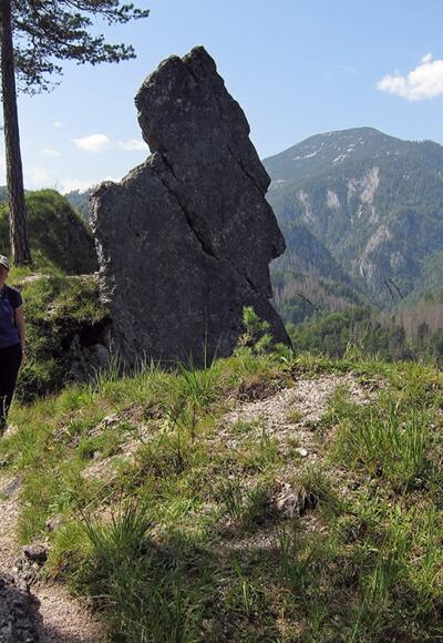 Über die Hochschlacht zur Anlaufalm © Egelseer