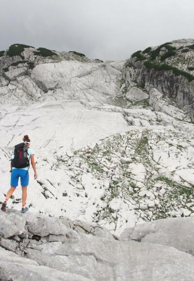 Karstplatten am Hochplateau: Neunerkogel (rechts), Zehner (Mitte) und Elfer (links daneben) im Überblick