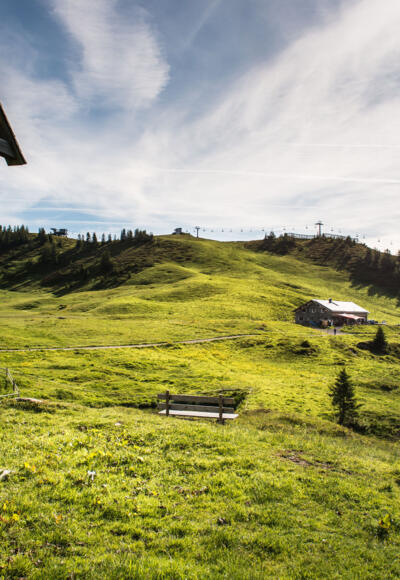 Stofel und Alpe Oberdamüls