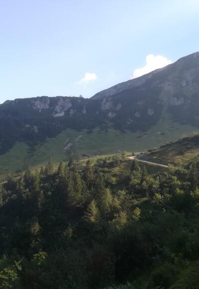 Die Sulzkaralm bereits in Blicknähe