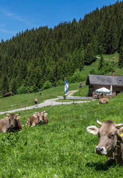 Blick auf Obere Wiesalpe