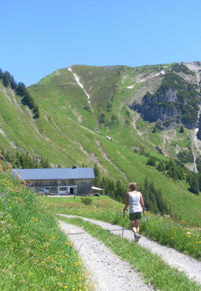Bärenalpe unter Hochlicht/Blasenka