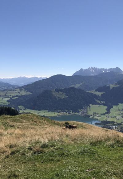 Aussicht vom Brennkopf auf den Wilden Kaiser