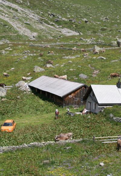 Sennhütte Alp Urschai, Ftan
