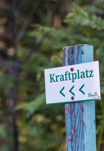 Reinigungsplatz im Hachauer Wald (Kraftplatz 16)