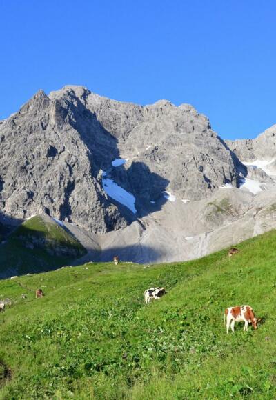 Auf der hinteren Fellealpe