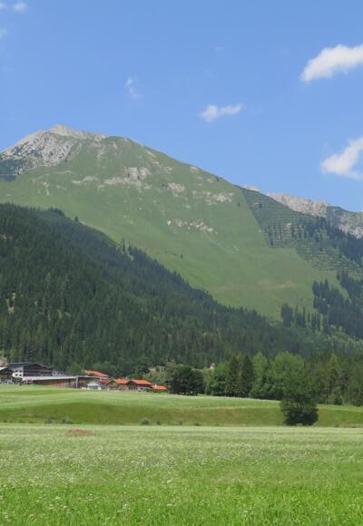 Blick auf Elbigenalp