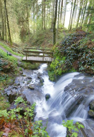 Der rauschende Talbach