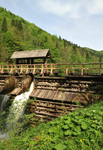Die Schleifenbachklause wurde vom Nationalpark Kalkalpen und dem Verein Eisenstraße reaktiviert, nachdem ein Hochwasser die Klause zerstört hat und der Borsee zu verlanden drohte