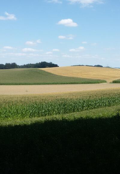 Ausserhalb von Mehrnbach