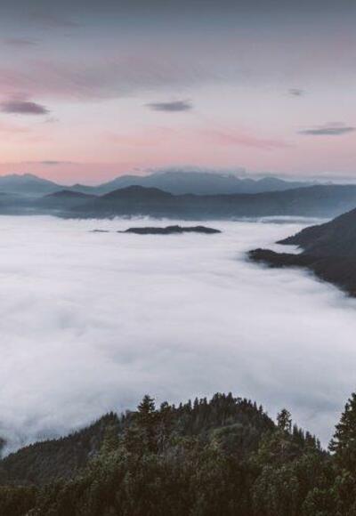 Auf dem Weg nach hall