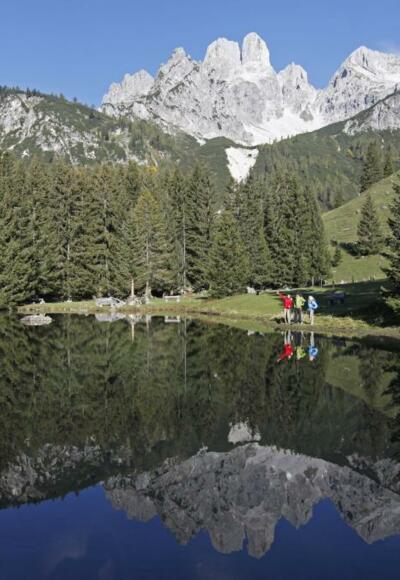 Platz 3: Rund um den Almsee