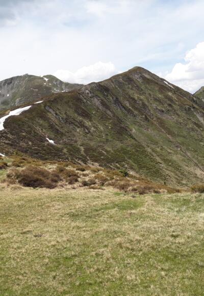 Hundstein, Galtviehkopf und Ochsinger