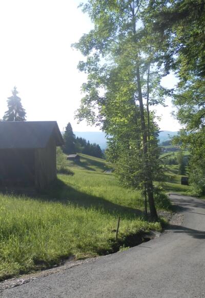 Kapfvorsäß oberhalb von Egg