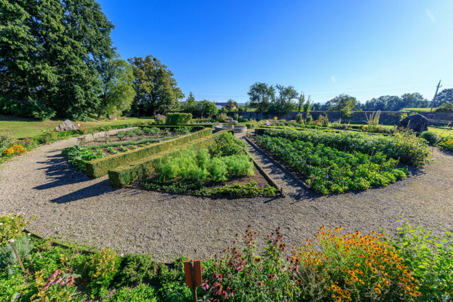 Klostergarten Gemüsesonne