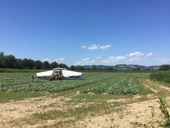 \&quot;Gurkerlflieger\&quot;