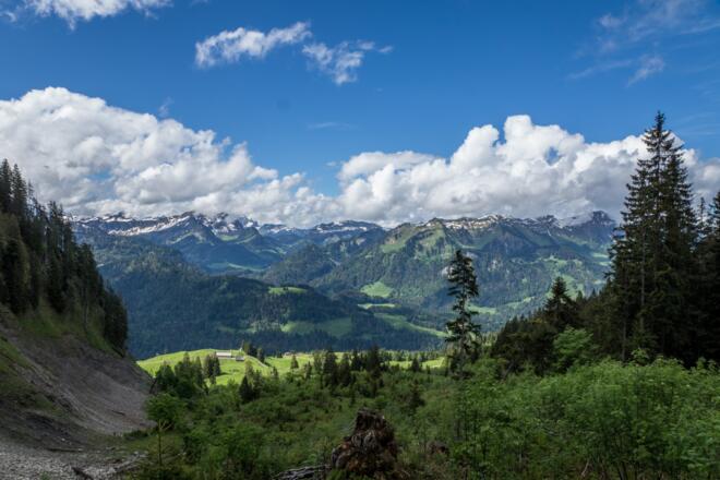 Blick vom Feuerstätterkopf auf die Wildriesalpe