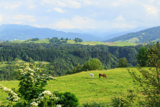 Doren im Bregenzerwald