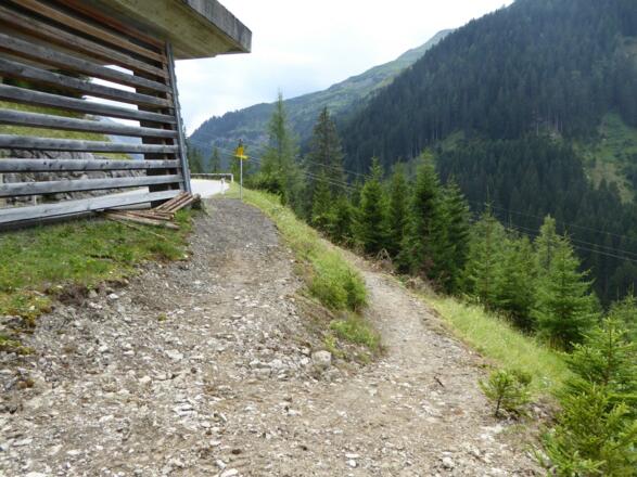 An der Lawinengalerie folgt man kurz der Strasse