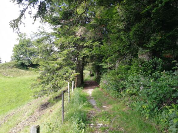 Abwechslungsreiche Wegführung