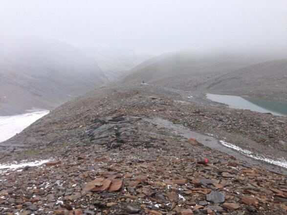 weglos, momentan stellenweise noch recht spärlich markiert, talauswärts Richtung Langtalereck Hütte bzw. Eiskögele