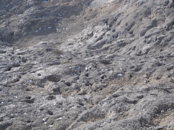 Karstlandschaft im Bereich Fleischbanksattel