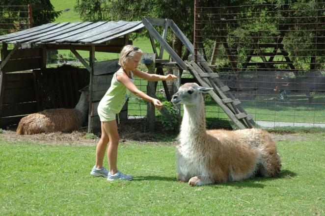 Wildpark Untertauern