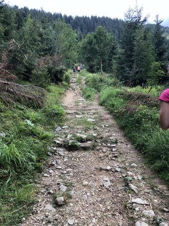 Wanderweg zum Schlenken Gipfel