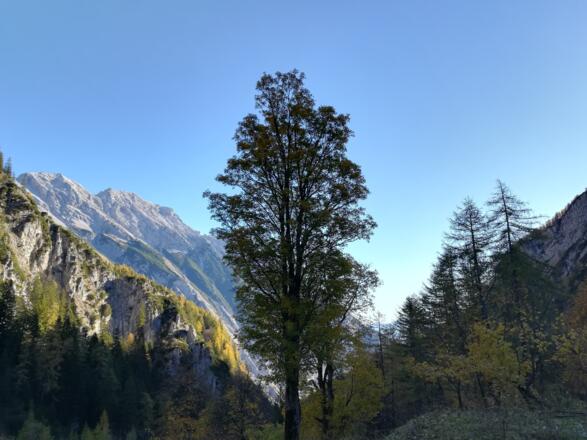 Bei den Herrenhäusern